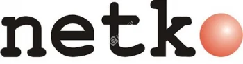 Netko Дверь для шкафа TS,T2 стеклянная 42U Ширина 600 серая, с перфорацией 